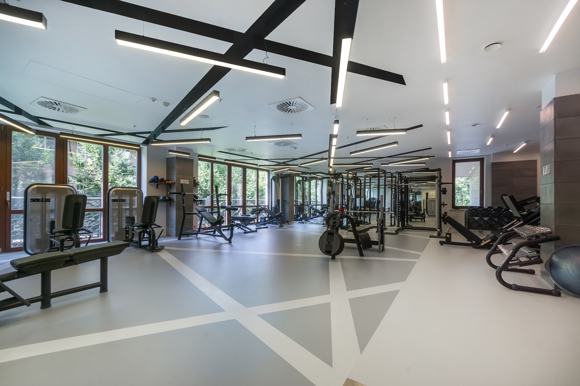 Fitness and Wellness